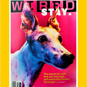 WIRED US November 2022 [Back Issue]